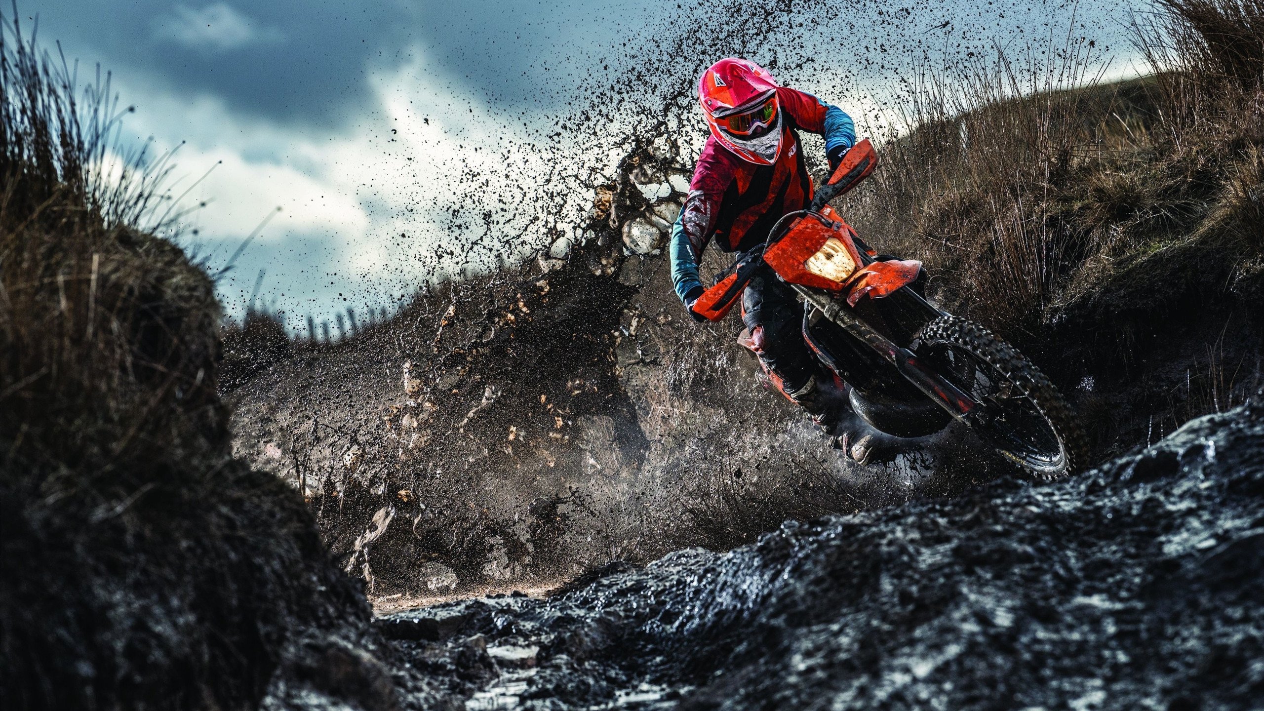 法甲支持热烈，球迷反应积极，法甲全场